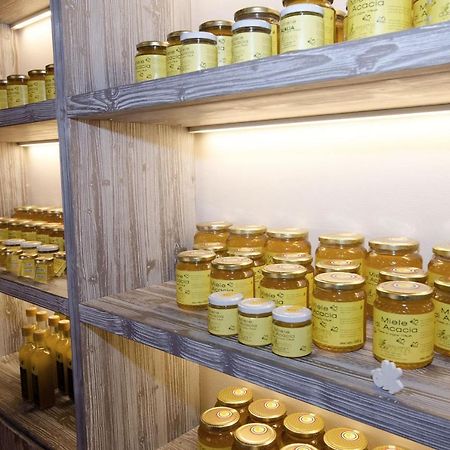 San Gervasio Agriturismo Due Comuni מראה חיצוני תמונה