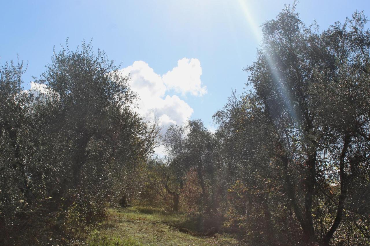 San Gervasio Agriturismo Due Comuni מראה חיצוני תמונה
